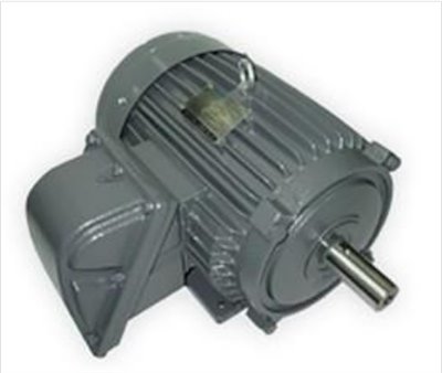 Flameproof Motor 